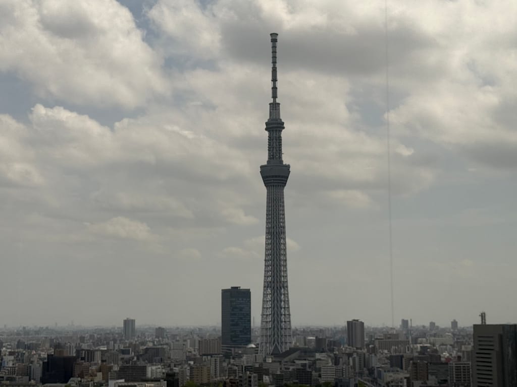 「浅草ビューホテルから見える東京スカイツリーの景色。都内の街並みを一望できる絶景」