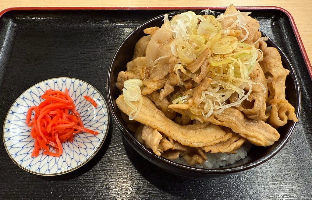 【豚丼】あっさり味でニンニク風味のタレが香る豚丼。豚肉200g・ご飯300gのボリュームたっぷり仕様。香ばしい豚肉と刻みネギがのり、タレがご飯に染み込んだ満足感の高い一品。